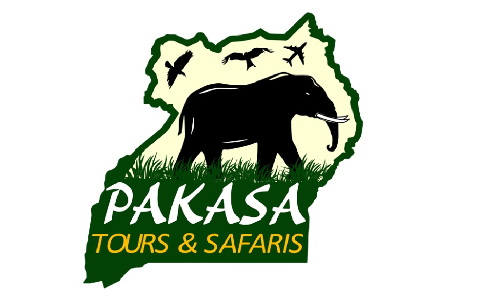 https://pakasatoursandsafaris.com/